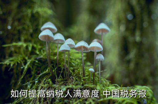 地稅如何提升納稅人滿意度，如何提高納稅人滿意度 中國稅務(wù)報