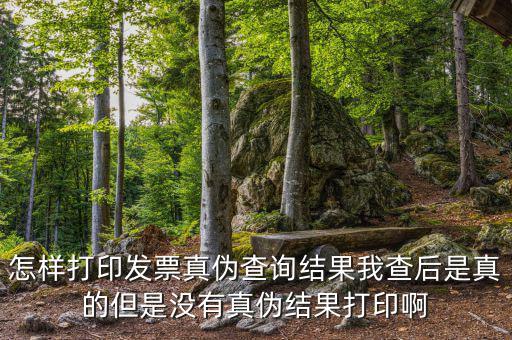 怎樣打印發(fā)票真?zhèn)尾樵?xún)結(jié)果我查后是真的但是沒(méi)有真?zhèn)谓Y(jié)果打印啊