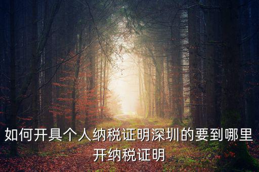 如何開地方稅務(wù)局納稅證明，地稅證明怎么開