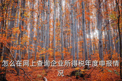 企業(yè)稅務(wù)信息如何查詢系統(tǒng)，通過企業(yè)注冊號和地稅登記證號如何查詢企業(yè)信息