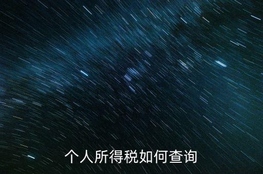 個(gè)人所得稅如何查詢(xún)