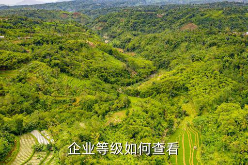 如何查企業(yè)信譽等級，怎么查企業(yè)信用