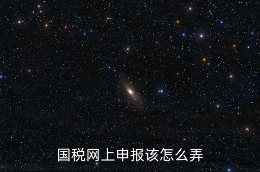 國稅新系統(tǒng)如何申報，國稅網(wǎng)上申報該怎么弄