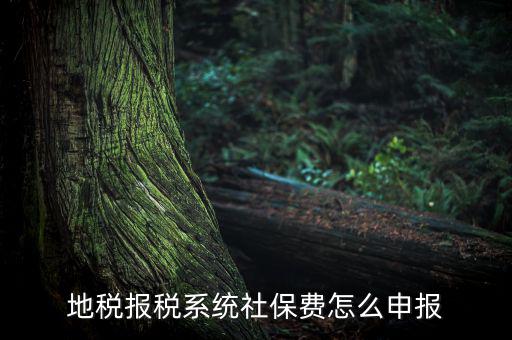地稅如何申報(bào)社保嗎，地稅報(bào)稅時(shí)社保怎么填