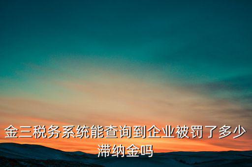 稅務(wù)部門的行政處罰如何查詢，公司的稅務(wù)罰款去哪里查詢急