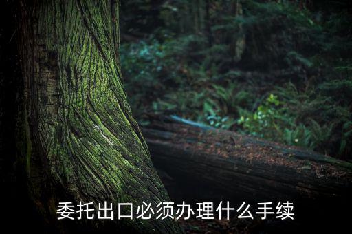 如何開具代理出口貨物證明，代理公司在當?shù)亻_具代理出口貨物證明 請問我公司如何