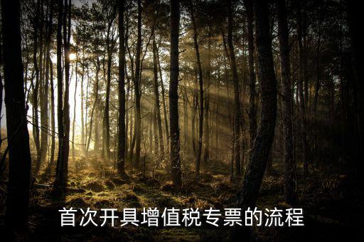 如何申請?jiān)鲋刀悓Ｆ?，怎么申辦專用發(fā)票