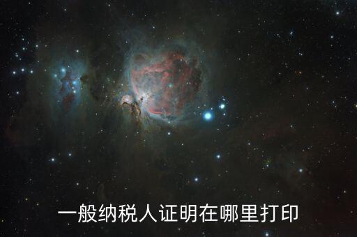 如何打印一般納稅人證明文件，一般納稅人資格認定表如何在網(wǎng)上打印文書