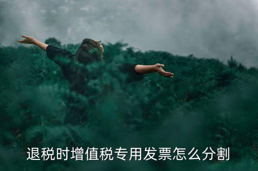 申報退稅如何分批，同一個退稅申報期內(nèi)可以申報2個批次嗎