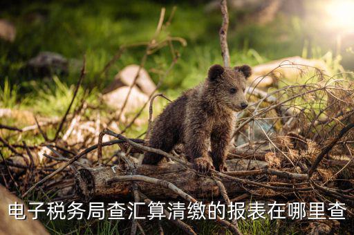 上海如何查詢匯算清繳，所得稅匯算清繳報(bào)告在金稅盤哪里查詢