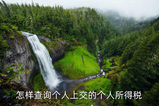 如何查詢個人稅務(wù)信息，怎樣查詢個人上交的個人所得稅