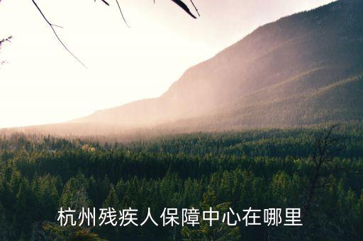 杭州市殘保證如何申請，杭州殘疾人保障中心在哪里