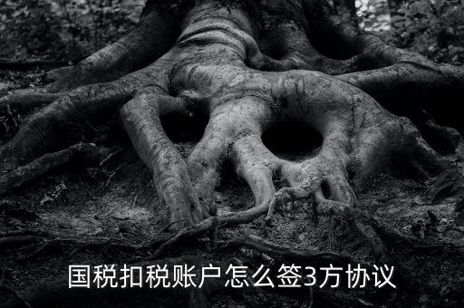 如何簽訂國(guó)稅扣款協(xié)議書(shū)，廣州企業(yè)怎么簽訂扣稅協(xié)議