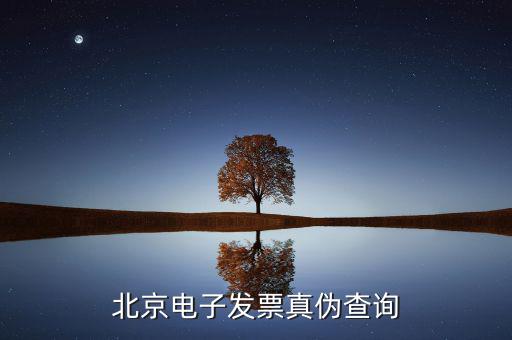 北京電子發(fā)票真?zhèn)尾樵?xún)