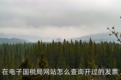 在電子國(guó)稅局網(wǎng)站怎么查詢開過的發(fā)票