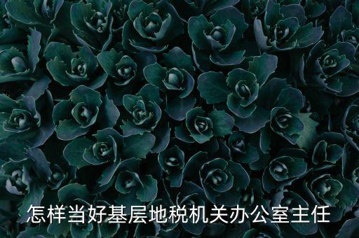 稅務(wù)部門如何抓好主體責(zé)任，如何做好稅收法規(guī)工作