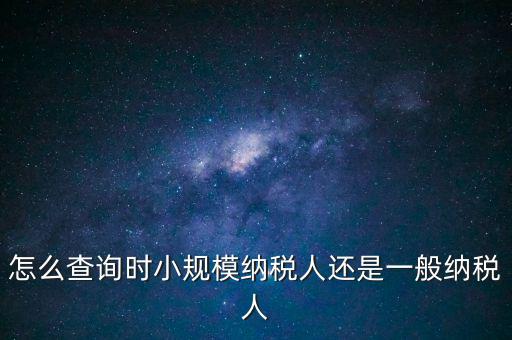電子稅務(wù)局如何查看正常戶，怎么查詢時(shí)小規(guī)模納稅人還是一般納稅人