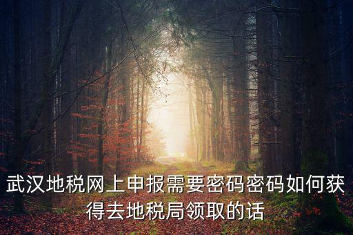 武漢地稅網(wǎng)上申報需要密碼密碼如何獲得去地稅局領取的話