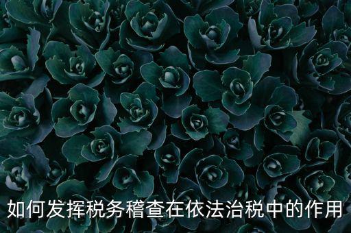 稽查部門如何優(yōu)化稅收營商環(huán)境，如何充分發(fā)揮稽查職能作用更好服務于全省稅收征管工作發(fā)展大局
