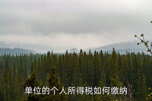 企業(yè)個人所得稅如何繳納，私營企業(yè)職工個人所得稅如何繳納