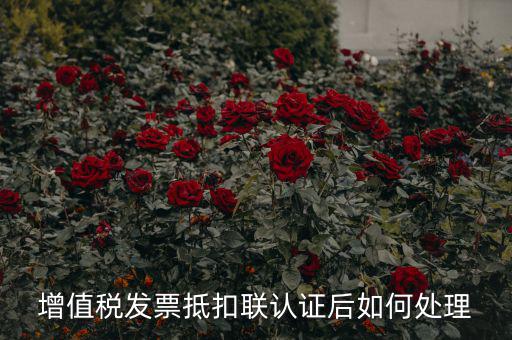 抵扣聯(lián)認(rèn)證如何續(xù)費(fèi)，我認(rèn)證發(fā)票服務(wù)費(fèi)要到期了怎么續(xù)費(fèi)
