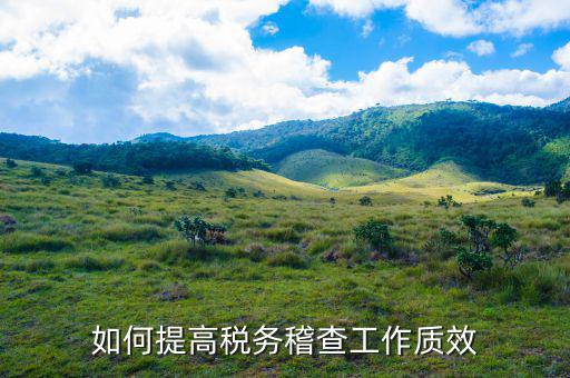 如何提高國稅稽查工作質(zhì)效，如何提高稅務(wù)稽查工作質(zhì)效