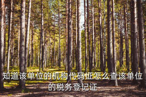 如何查企業(yè)稅務(wù)局登記，公司的稅務(wù)登記證號(hào)怎么查詢