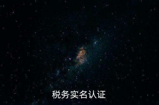 稅務(wù)實名認證