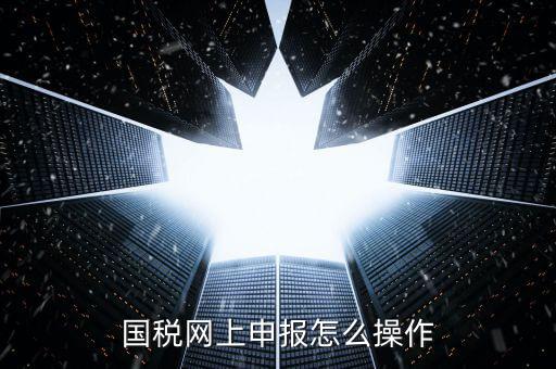 福建省國稅所得稅如何登入申報，福建省國稅申報相關(guān)問題