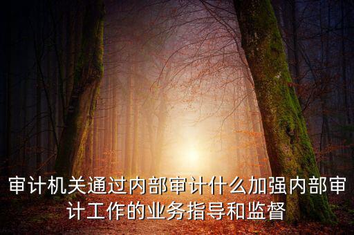 如何進一步加強督察內審工作，如何加強紀檢監(jiān)察系統(tǒng)內部監(jiān)督管理