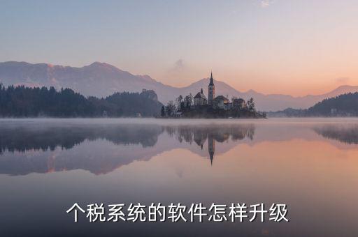 稅務(wù)系統(tǒng)如何升級1128，稅控發(fā)票開票系統(tǒng)稅控盤怎么升級
