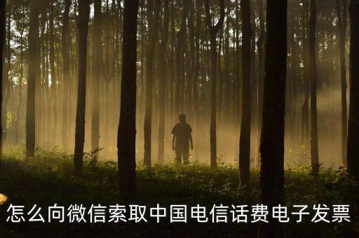 發(fā)票幫公眾號(hào)如何使用，9月1號(hào)預(yù)付微信公眾號(hào)300元9月6號(hào)收到發(fā)票要怎么做賬