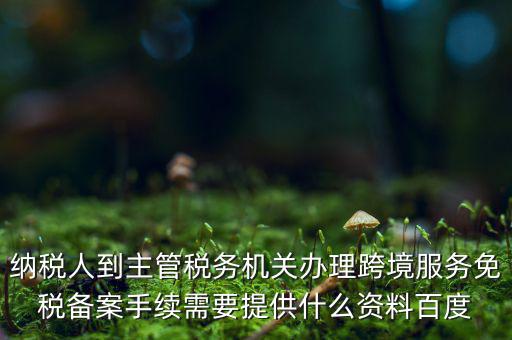 納稅人到主管稅務(wù)機(jī)關(guān)辦理跨境服務(wù)免稅備案手續(xù)需要提供什么資料百度