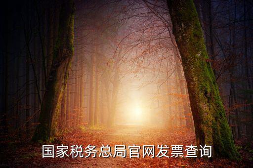 江蘇國稅如何查詢發(fā)票，江蘇發(fā)票真?zhèn)尾樵內(nèi)绾尾樵兘K發(fā)票真?zhèn)尾樵內(nèi)绾尾樵冏钪匾氖沁M(jìn)