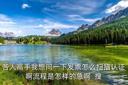 如何掃描認(rèn)證發(fā)票，各人高手我想問(wèn)一下發(fā)票怎么掃描認(rèn)證啊流程是怎樣的急啊  搜