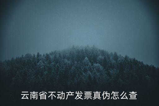 不動產(chǎn)統(tǒng)一發(fā)票如何查詢真?zhèn)?，銷售不動產(chǎn)統(tǒng)一發(fā)票真假怎么辨別
