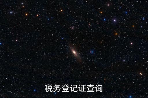 稅務(wù)機(jī)關(guān)備案信息如何查詢系統(tǒng)，稅務(wù)登記證查詢