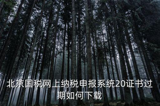 北京國稅網(wǎng)站如何更新，如何在國稅網(wǎng)上更新公司的信息