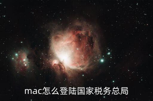 mac怎么登陸國(guó)家稅務(wù)總局