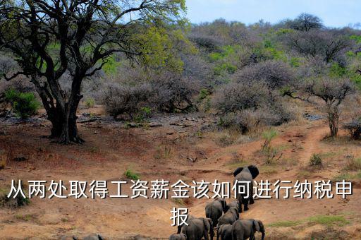 多出取得工資 如何申報(bào)個(gè)稅，個(gè)人多處取得所得如何申報(bào)繳納個(gè)稅