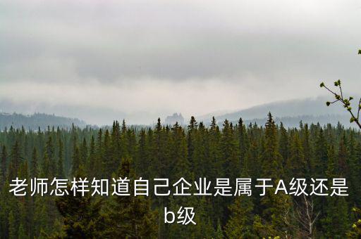 企業(yè)級(jí)別如何查，企業(yè)資質(zhì)等級(jí)怎樣查