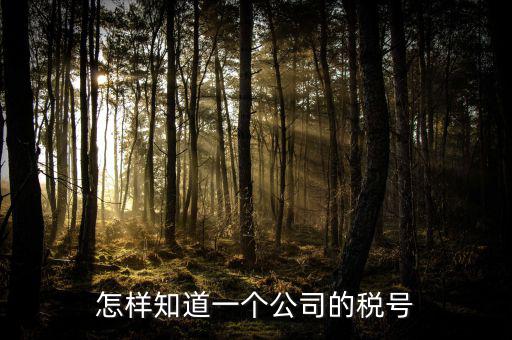 單位稅號(hào)如何查詢，知道公司名字怎么查稅號(hào)嗎