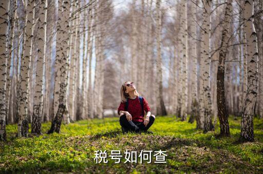 武漢如何查公司稅號(hào)，有誰(shuí)知道公司名怎么查公司稅號(hào)