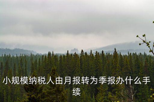 小規(guī)模附加稅如何改成按季申報(bào)，小規(guī)模納稅人增值稅按月申報(bào)可以改為按季度申報(bào)嗎