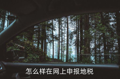 地稅網(wǎng)站如何注冊，地稅網(wǎng)上申報注冊怎么操作