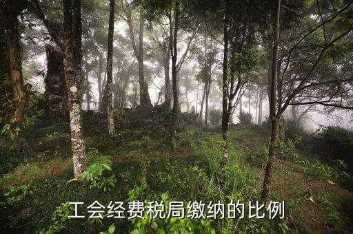 稅局代收的工會(huì)經(jīng)費(fèi)應(yīng)如何交納，稅務(wù)局代收的工會(huì)經(jīng)費(fèi)怎么交