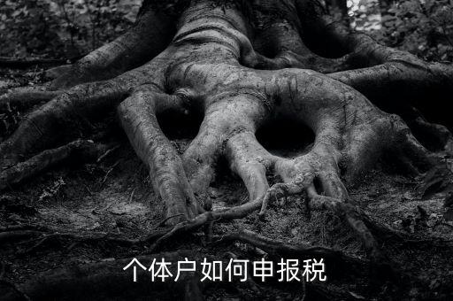 個(gè)體工商戶稅如何申報(bào)，個(gè)體工商戶個(gè)稅怎么報(bào)