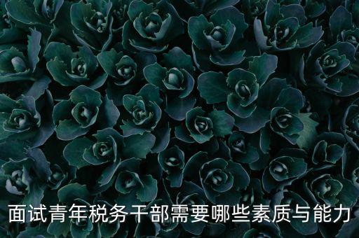 稅務(wù)年輕干部如何培養(yǎng)，面試青年稅務(wù)干部需要哪些素質(zhì)與能力