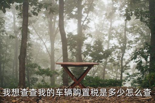 我想查查我的車(chē)輛購(gòu)置稅是多少怎么查