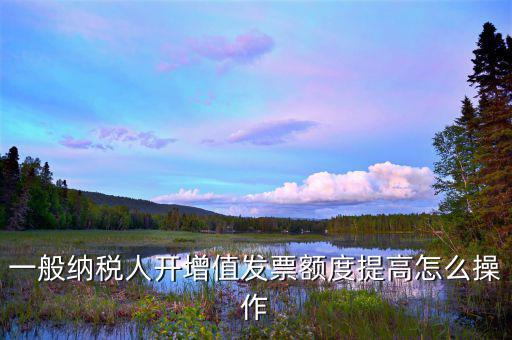 如何提高開票限額申請，一般納稅人開增值發(fā)票額度提高怎么操作